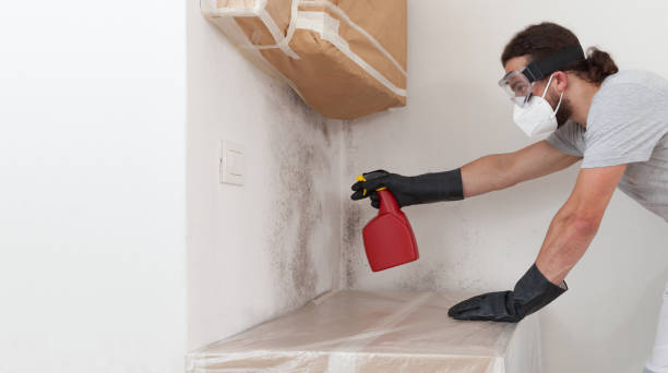 Professional Crawl Space Mold Remediation technician working in New Milford, IL