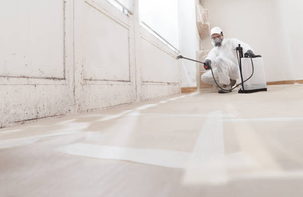 24/7 Emergency Crawl Space Mold Remediation experts in New Milford, IL